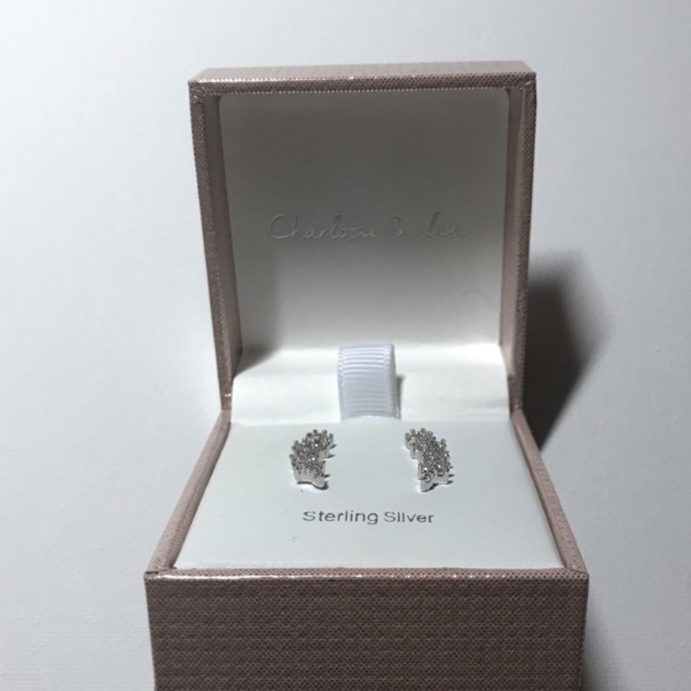 Sterling silver earrings